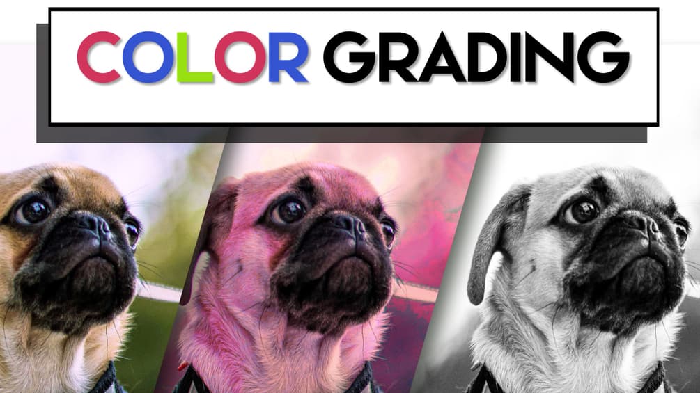 Color Grading Pro plugin preview
